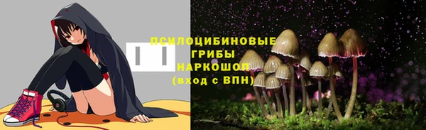 МДМА Снежногорск