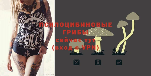 Альфа ПВП Снежинск