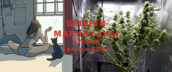 МДМА Снежногорск