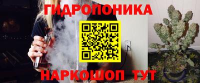 прущие грибы Балашиха