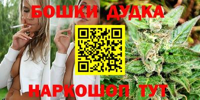 прущие грибы Балашиха