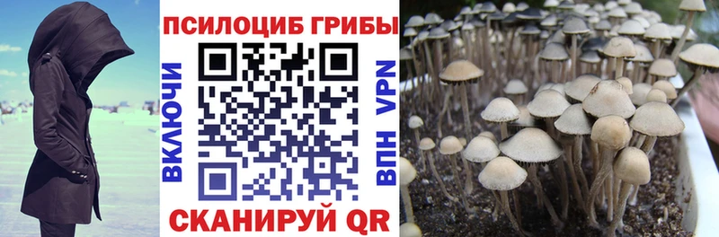 Галлюциногенные грибы Psilocybe  Еманжелинск 