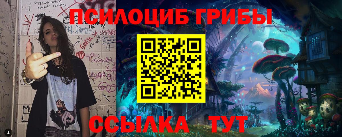 Галлюциногенные грибы прущие грибы Еманжелинск