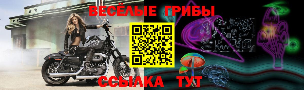 Галлюциногенные грибы Magic Shrooms  Еманжелинск 